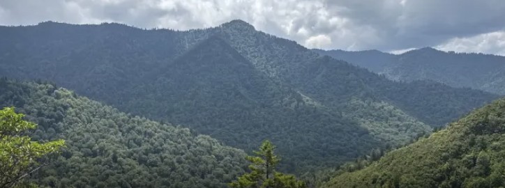 Forested Smoky Mountain ridges seen from the Alum Cave Trail