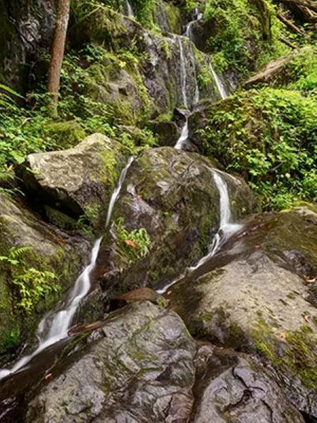 Place of a Thousand Drips cascading over mossy rocks